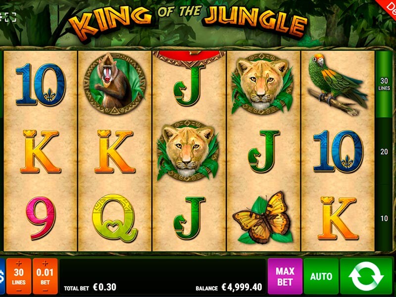 King of the Jungle Spiel: Spielreview